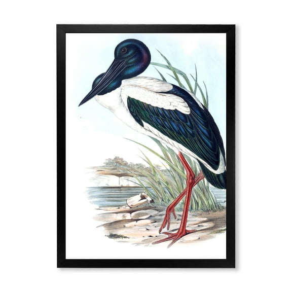 Designart 'Australian Vintage Birds I' Traditional Framed Art Print