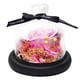 thumbnail image 1 of Decoración de flores eternas rosa con fondo de musgo amor cubierta de vidrio flores secas regalos navideños Regalos de cumpleaños para familiares y amigos, 1 of 5
