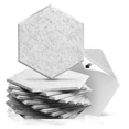 thumbnail image 1 of Paquete De 12 Paneles AcúSticos,Paneles AcúSticos Autoadhesivos,Paneles De Espuma Insonorizados,Paneles De Pared Insonorizados,Gris Plateado, 1 of 5