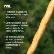 Brazos, Twisted Trail Blazer Walking Stick, Brown, 55 inches