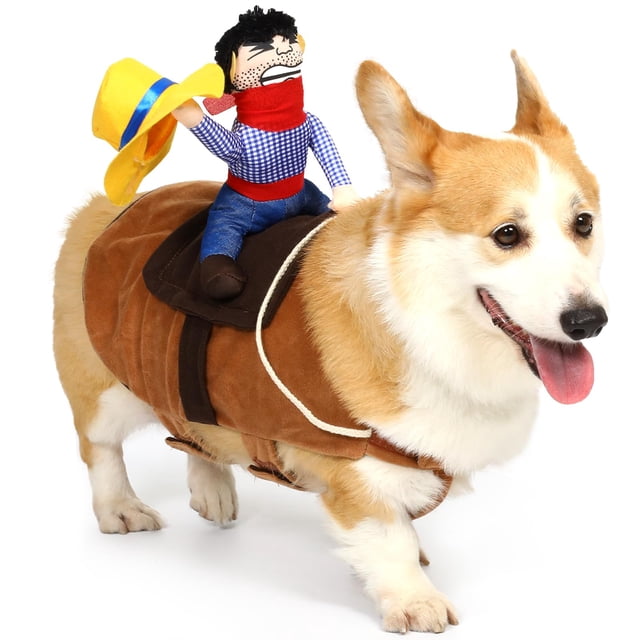 Disfraz de perro T2Y T2Y Cowboy Rider, pequeño, ajustable