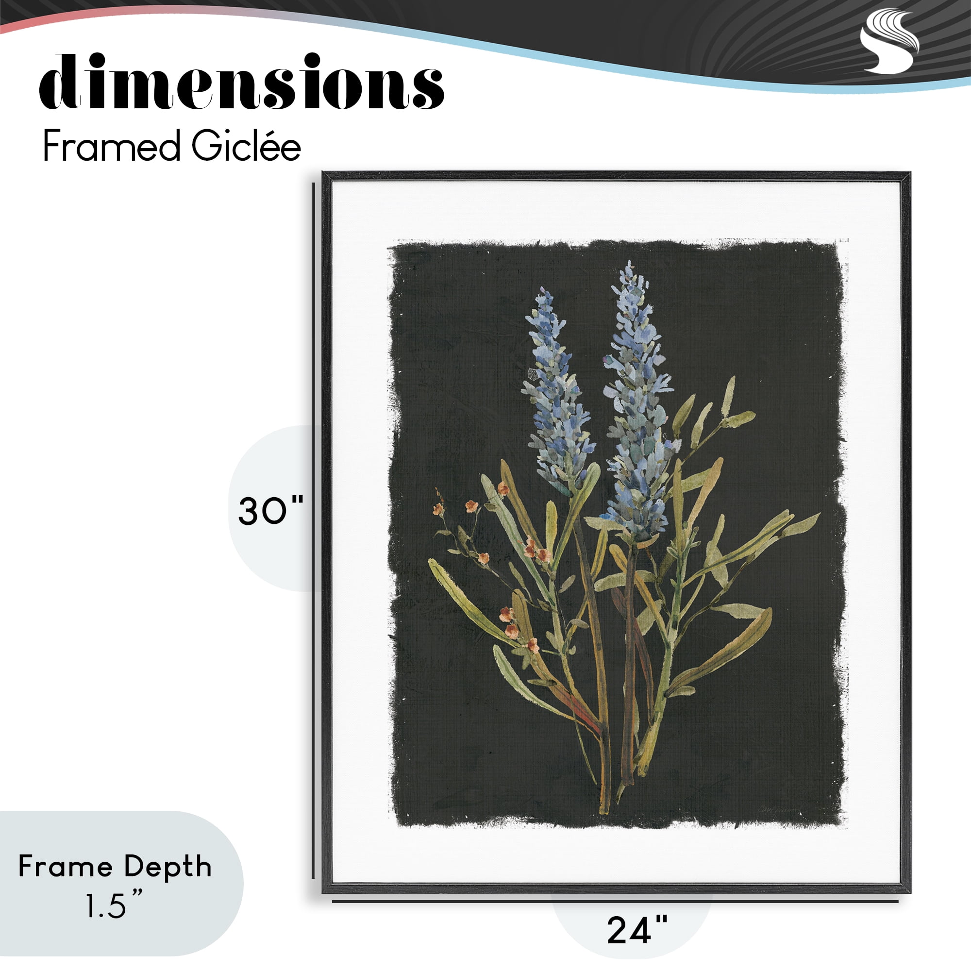 Stupell Industries Lavender Sprigs on Dark Background Black Framed Giclee Art, design by Carol Robinson