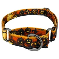 Country Brook Petz® Midnight Fright Reflective Gunmetal Martingale Dog Collar, Extra Large