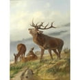 thumbnail image 2 of Carl Friedrich Deiker 12x14 Black Ornate Wood Framed Double Matted Museum Art Print Titled: Roar with Deer Cows, 2 of 5