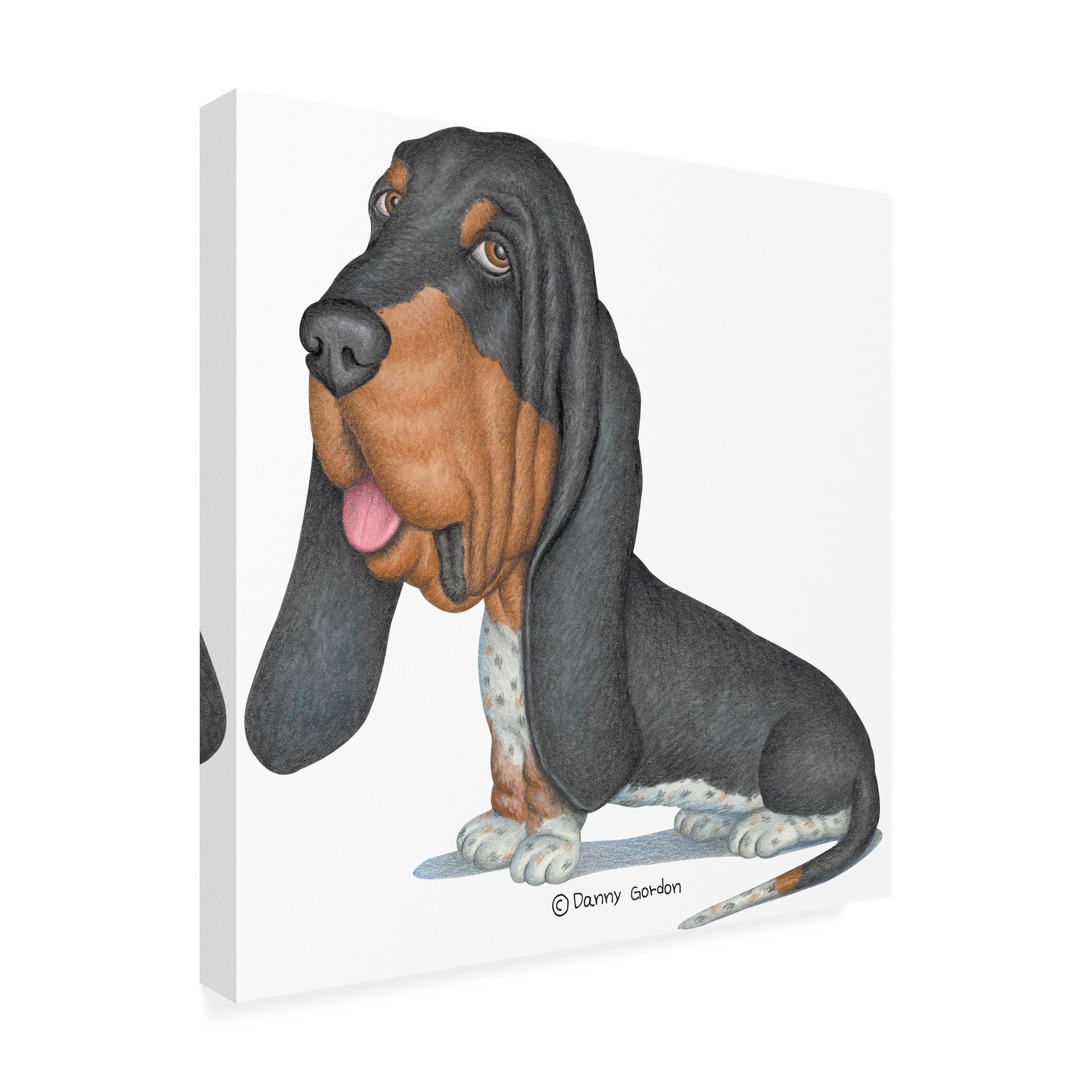 Danny Gordon Art 'Tri Color Basset Hound Sitting' Canvas Art