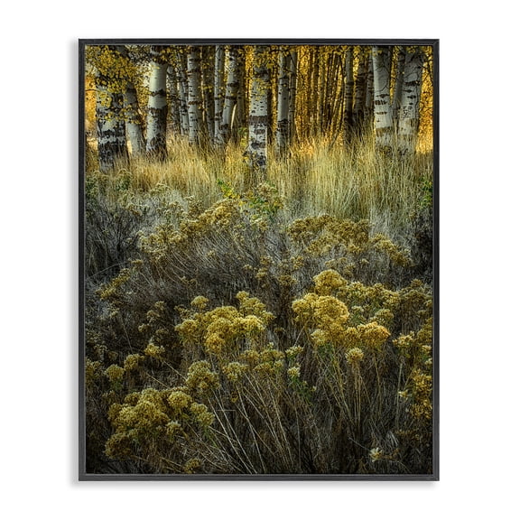 Stupell Industries Farmhouse Woodland Wildlife Plants Yellow Blossoms Black Framed Giclee Art, 24 x 30, by David Lorenz