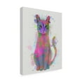 thumbnail image 2 of Trademark Fine Art 'Cat Rainbow Splash 4' Canvas Art by Fab Funky, 2 of 3