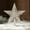 A1 Kadlawus Under $5!, variant on Kadlawus Under $5 ! Christmas Tree Topper Star Glitter Hollowed Out Five Pointed Shimmering Festive Holiday Decor Shining Top Piece Easy Install Lightweight Sturdy Seasonal Accents
