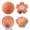 4PCS, variant on LOWLHOME Bird Bath Copper Disk,0.6mm Reinforced Pure Copper Cleaning Disk,Triple-Point Support for Physical Safe Clean Water Disk,All-Season for Outdoor Birdbaths,Bowl(Orchid)
