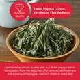 thumbnail image 3 of Akshit Dried Papaya Leaves , 100% Natural  Papaya Leaf Tea, Non-GMO, Caffeine-Free. 5.2 oz, 3 of 10