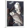 thumbnail image 1 of ARTCANVAS Snowy Owl Canvas Art Print by John James Audubon - Size: 40" x 26" (0.75" Deep), 1 of 9