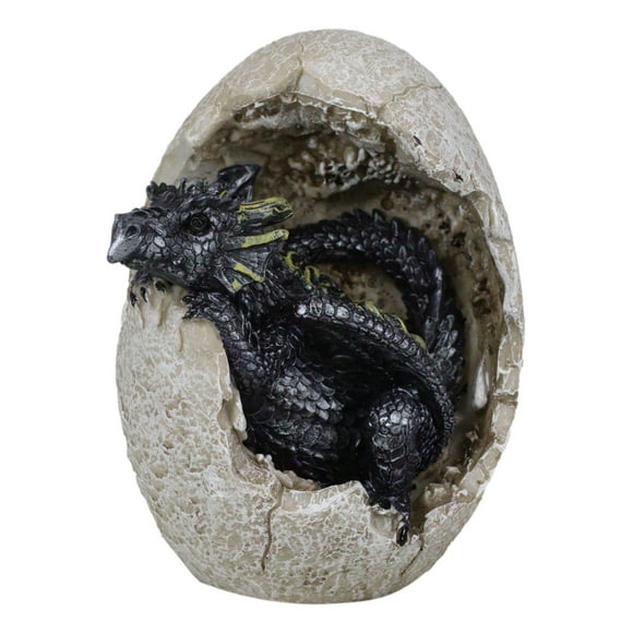Ebros Gift Fossile Raeon Soleil Dragon Bébé Brisant une Coquille d'Œuf Figurine Décorative 5 Pouces H Dungeons and Dragons Figurine de Collection Musée comme des Œufs Décor Médiéval (Onyx Violet)