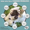 thumbnail image 4 of Juguete Interactivo BellaBoo Pets Rojo con Dispensador de Alimentos para Perros Fuertes de Raza Medi, 4 of 6