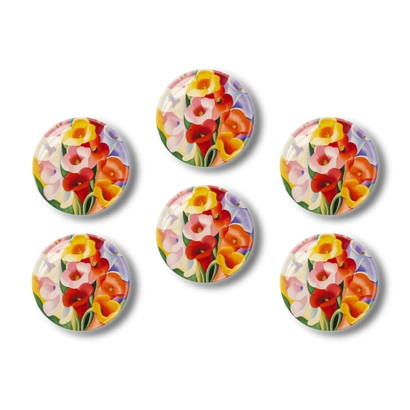 Glass Refrigerator Magnet 6Pcs Magnetic Fridge Sticker,Decor for Kitchen,Whiteboard,Cabinet,Assortment Of Colorful Calla Lilies