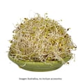 thumbnail image 2 of Germinado de Alfalfa Alfavid clásica 200 g, 2 of 4