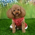 thumbnail image 2 of Outfit Puppy Clothes, Dog Clothes, Cute For Pet Dog M, 2 of 8