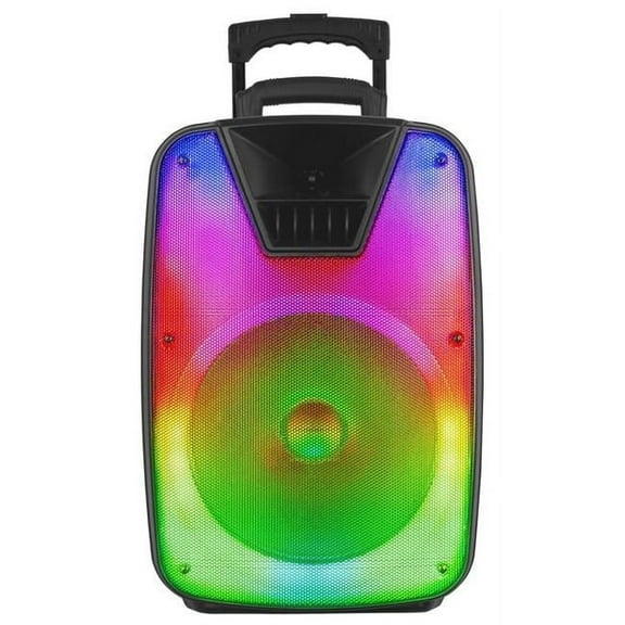 12' Portable Bluetooth DJ Speaker