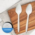 thumbnail image 5 of PAMI Disposable Teaspoons Medium Weight Coffee Spoons Plastic Utensils, 400-Pack, 5 of 6