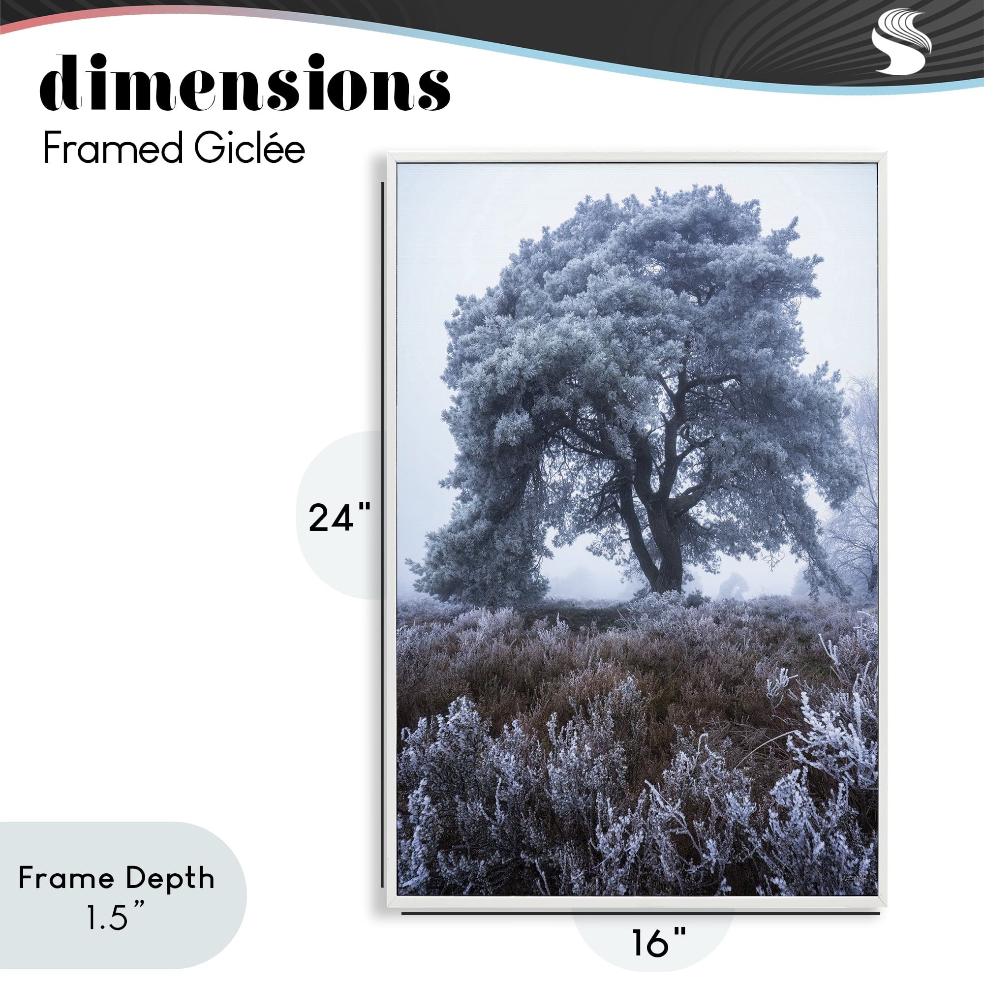 Stupell Industries Frosted Tree in Winter Mist White Framed Giclee Art, design by Martin Podt