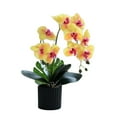 thumbnail image 2 of Beautiful Phalaenopsis bonsai: Elegant artificial Phalaenopsis with plastic pot, 2 of 11