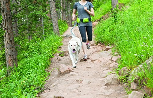 outward hound hipster waist pack