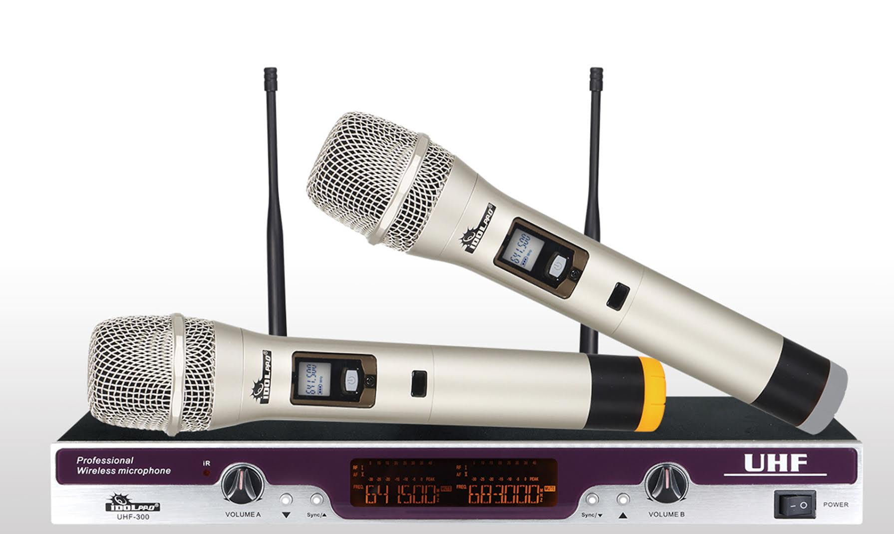 Professional Dual Wireless Microphone System