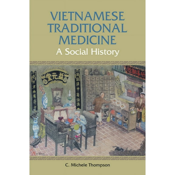 Vietnamese Traditional Medicine : A Social History (Paperback)