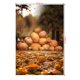 thumbnail image 2 of Telón de fondo ABPHQTO 150x220cm Feliz Halloween hojas fotografía para estudio familiar, 2 of 2
