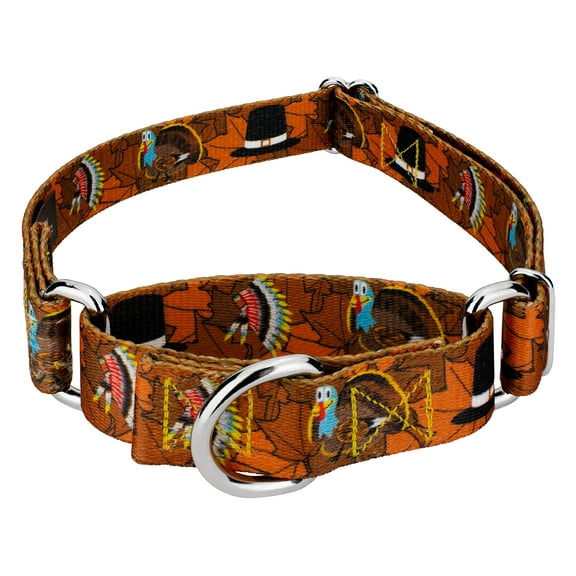 Country Brook Petz® Thanksgiving Tradition Martingale Dog Collar, 2XS
