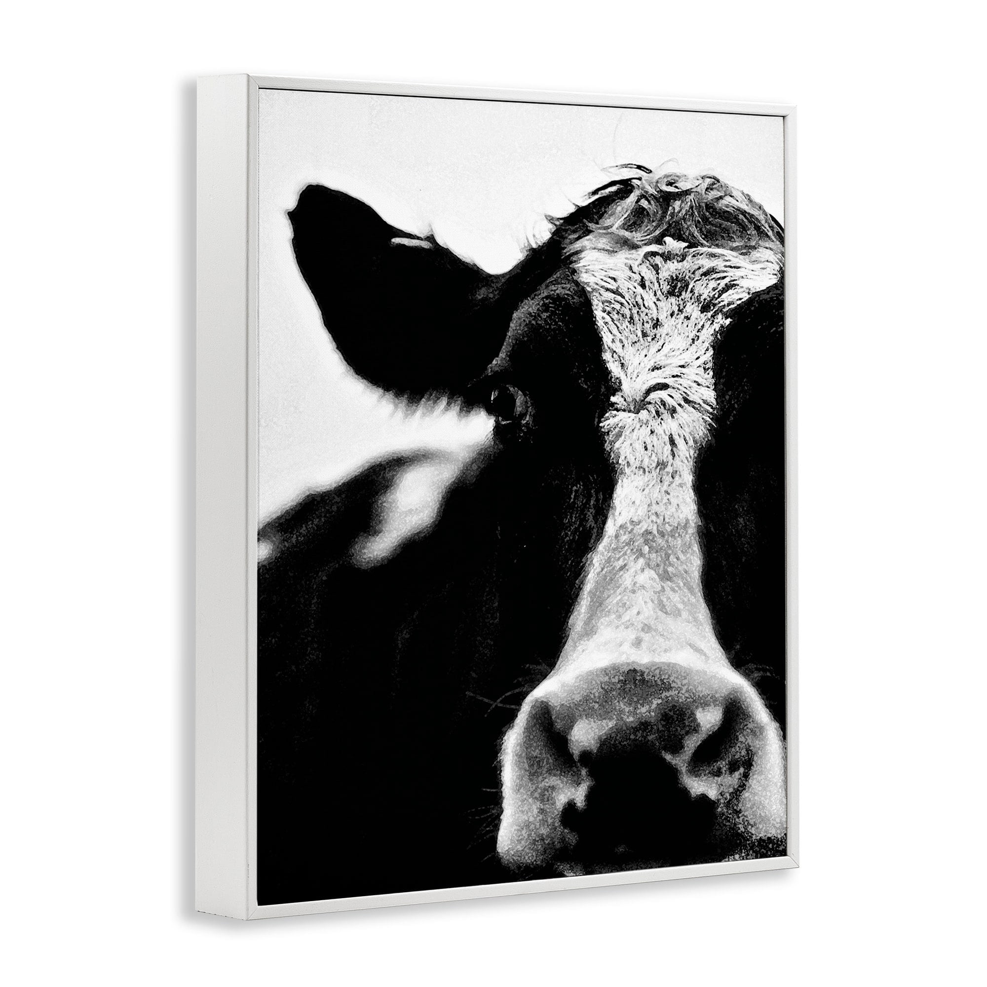 Stupell Industries Cow Black And White Close Up, 24 x 30,Design by Lettered and Lined