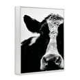 thumbnail image 3 of Stupell Industries Cow Black And White Close Up, 24 x 30,Design by Lettered and Lined, 3 of 5