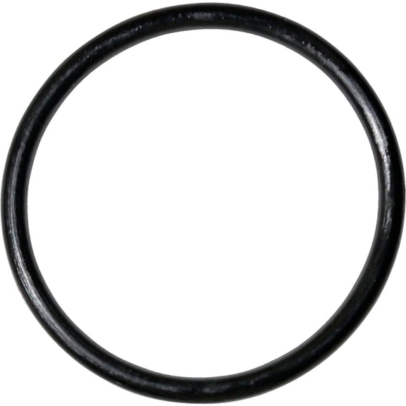 Danco 35780B Durable Faucet O-Ring, #66, Buna-N Rubber, Black
