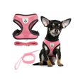 thumbnail image 1 of 1PC Cat Harness Vest Walking Lead Leash For Puppy Dogs Collar Polyester Adjustable Mesh Dog Harness For Small Medium Pet collar & leash set, 1 of 5