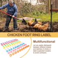 thumbnail image 5 of 80 Bandas para Patas de Pollo 16 mm con 8 Colores, Coloridas Identificación Numeradas 01-80, Etiqueta Corral y Pato, 5 of 5