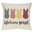 thumbnail image 2 of Holloyiver Easter Pillow Covers 18 x18 Inch, Farmhouse Easter Decorations for Home Bunny Carrot, Happy Easter Pillows Easter Decorative Throw Pillows Spring Colorful Easter Eggs Decor, 2 of 7