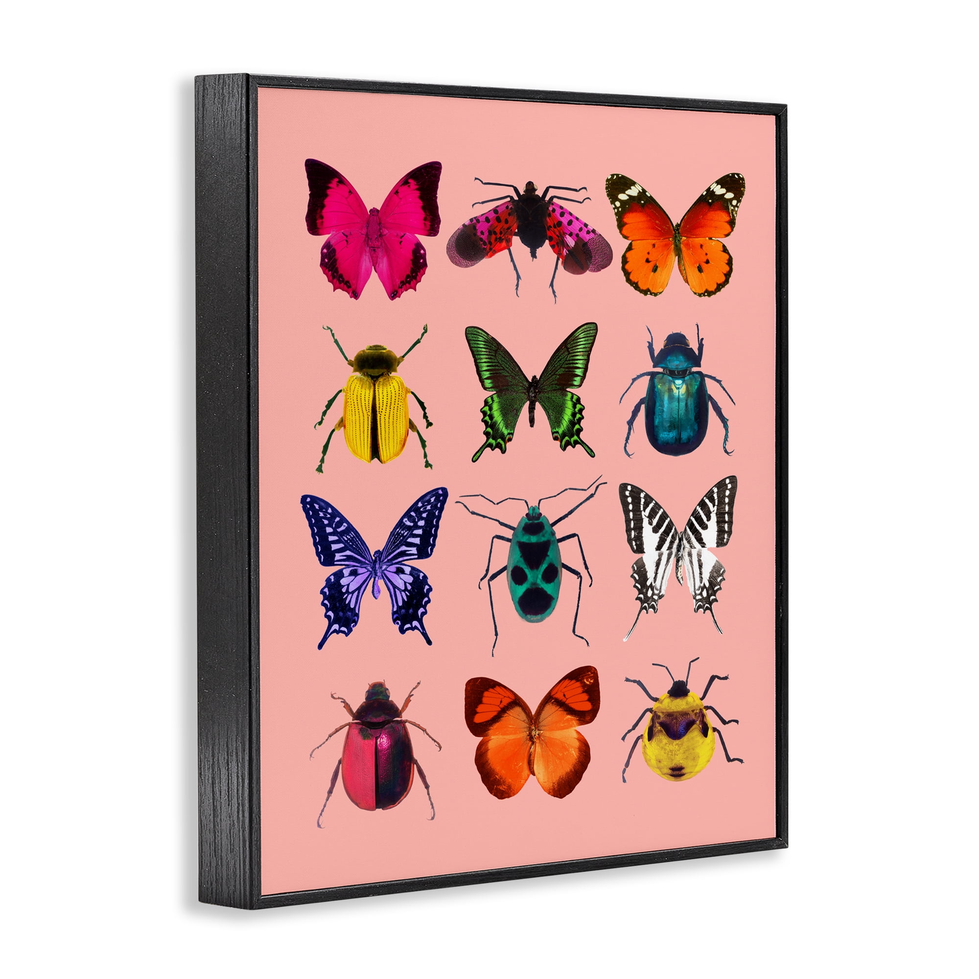 Colorful Bug Species on Pink Black Framed Giclee Art, design by LISH Creative