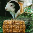 Curated visual reference: Bestyash Sturdy Iron Hay Feeder For Rabbits Black Cage Mountable Photo Inspiration