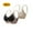 #0427-White, variant on Xucatan 2PC Powerful Christmas gifts Push up Seamless Bra for Women Wire-Free Top Support Bra, Super Gather Bra Wireless Push-Up Bra, No More