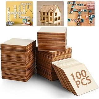 4 Inch Unfinished Round Wood Coasters, 24 Pack Blank Wooden Coasters with  100 Pcs Self Adhesive Non Slip Foam Dots, Wood Slices for DIY Crafts