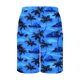 thumbnail image 5 of Pantalones Cortos Casuales para Hombre Imprimir con Bolsillos Pantalones de Playa de Cintura Elástica, Pantalones Cortos de Cintura Elástica para Hombre, 5 of 9