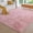 Pink, variant on Sonive 4×6 Feet Fluffy Shaggy Area Rug, Washable Rug Modern Soft Large Neutral Non-Slip for Bedroom Dining Living Room, Beige