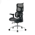 thumbnail image 1 of Silla Ergonómica Ultra Eco Randu Negra – Ajustable con Soporte Lumbar y Respaldo Transpirable – Home Office, 1 of 4