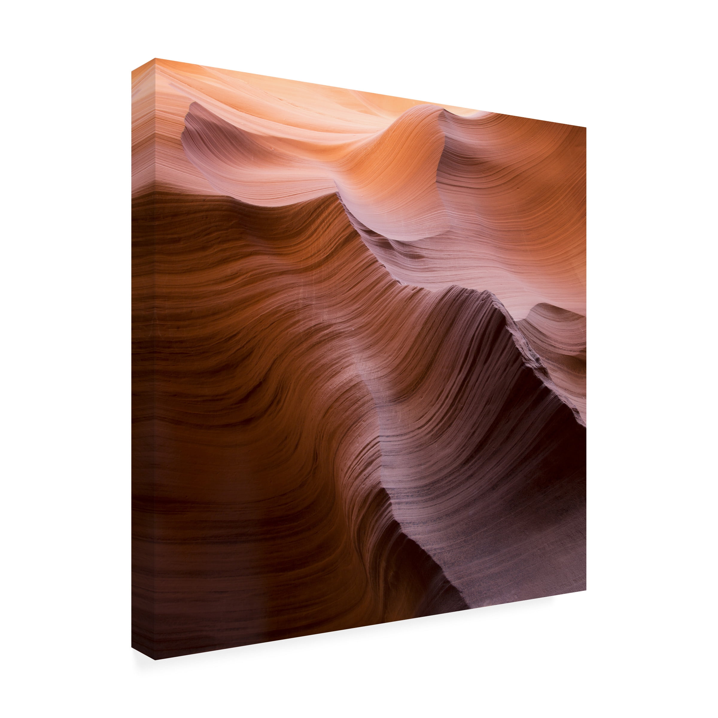 Trademark Fine Art "Smooth I" Canvas Art by Moises Levy