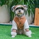 thumbnail image 1 of Double Sided Wearable Dog Clothing Pet Autumn Winter Coats Plush Teddy Frise Shiba Dogs Schneider Cat Clothes Fashion Jackets ShopWise Round, 1 of 6