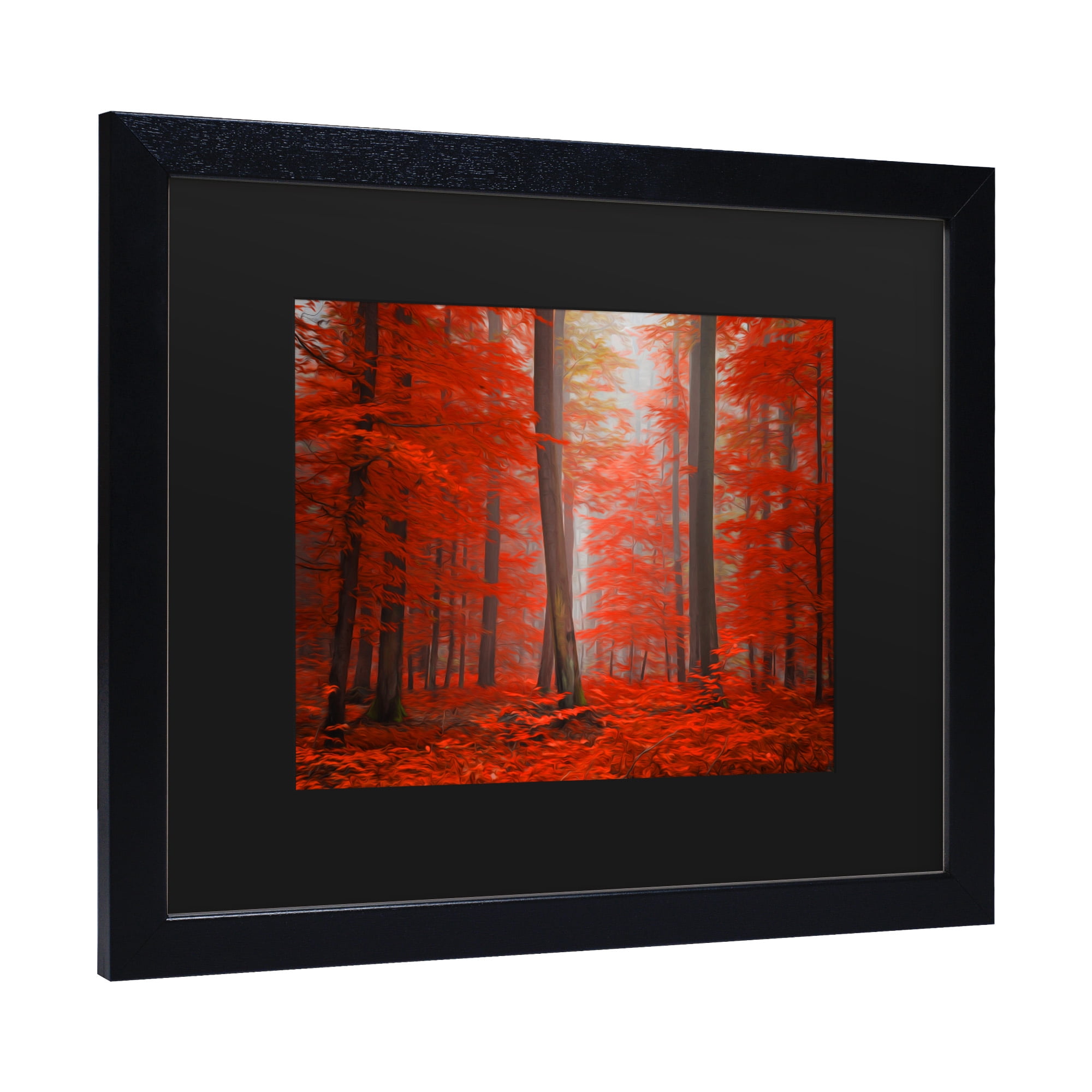 Trademark Fine Art 'Speaking of Tongues' Canvas Art by Philippe Sainte-Laudy