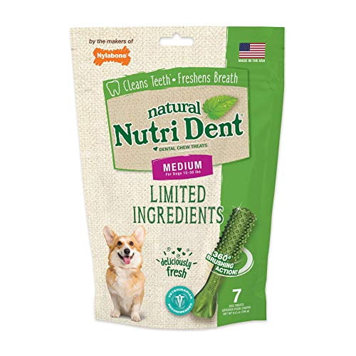 Nylabone Nutri Dent Limited Ingredient Dental Dog Chews, Medium (Up To 30 lbs), Green