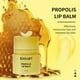 thumbnail image 5 of Xihbxyly Oferta del día Liquidación Acetato labial hidratante y pincel en labios en el interior, hidratante, nutritivo, antiarrugas, para labios secos y agrietados, pasta reparadora de labios, 15 ml, 5 of 7