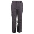 thumbnail image 1 of Men's Performance Insulated Cargo Mens Snow Pants, Grey, XXL, 1 of 3