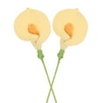 thumbnail image 1 of Paquete de 2 Flores de Ganchillo, Lirio de Calla Artificial Tejido a Mano, Flores Tejidas a Mano [Amarillo], 1 of 1