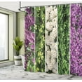 thumbnail image 5 of Ambesonne Flower Shower Curtain, Blooming Bouquet Romance, 69"Wx84"L, Green Violet, 5 of 5
